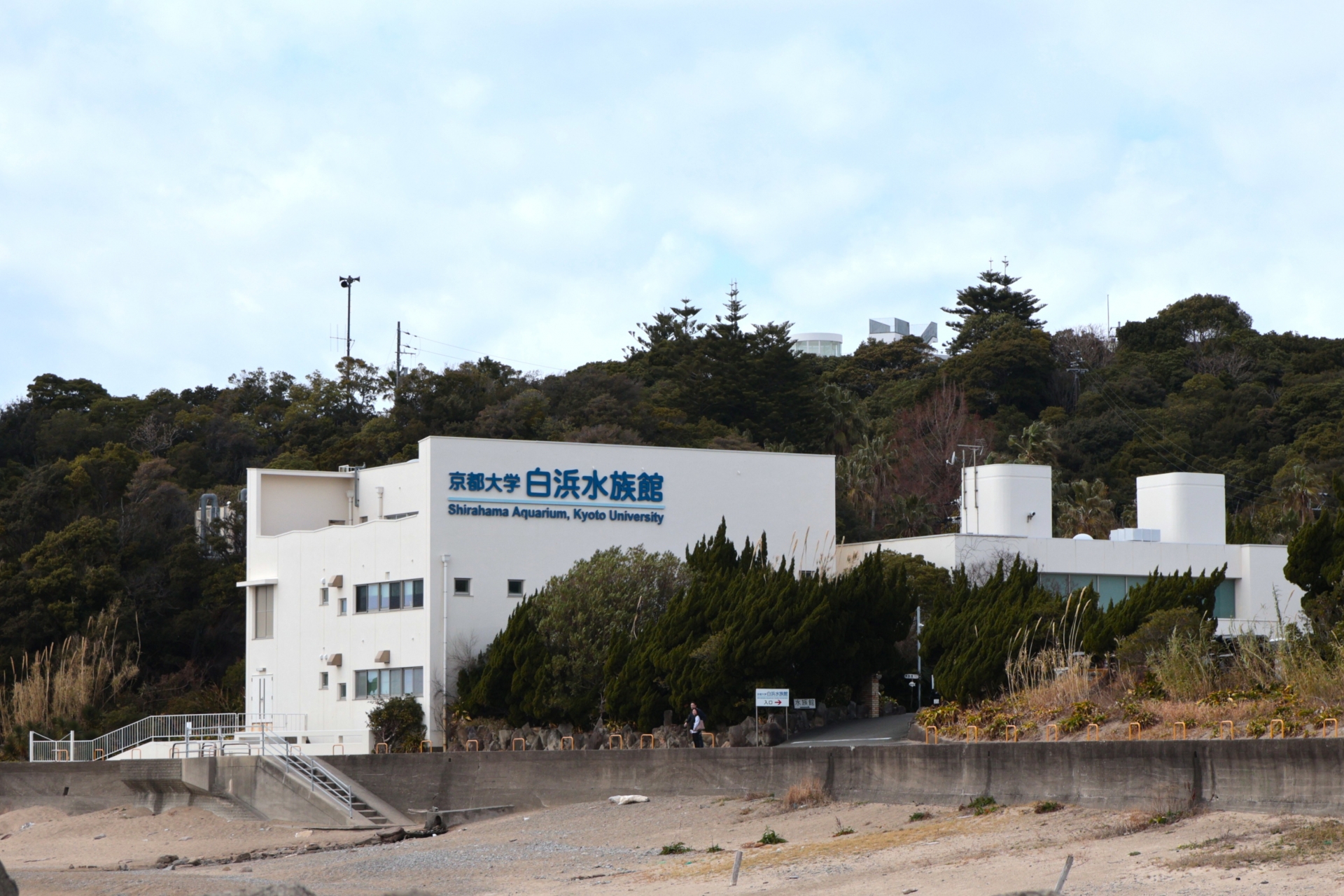 京都大学白浜水族館